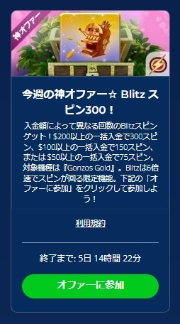 VIP神オファー３００スピン