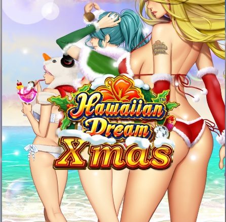 ハワイアンドリーム クリスマス