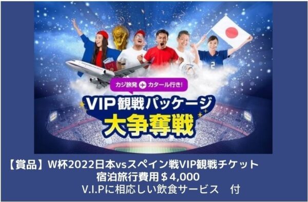 2206VIP観戦パッケージ大争奪戦